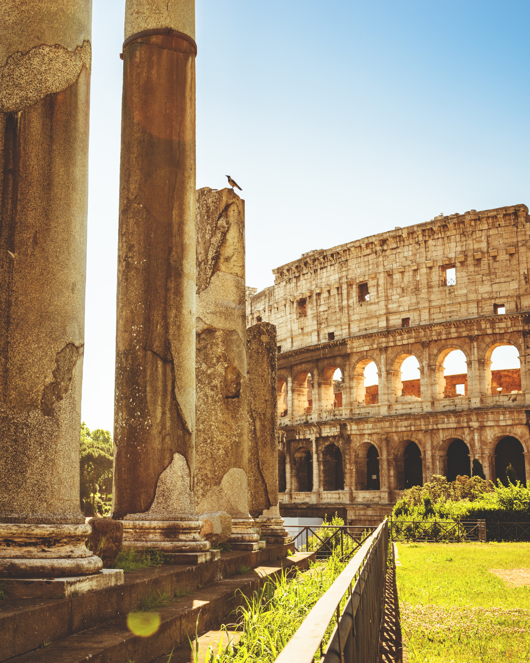 Sede Roma